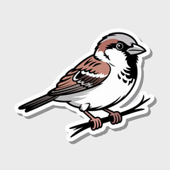 Sticker Illustration of Sparrow Perched on Twig | Cute Brown and White Sparrow Vector Artwork | Stylized Sparrow Bird Drawing for Stock Graphics