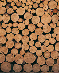 Stack of chopped wooden logs with detailed texture