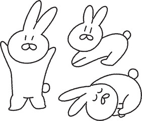rabbit
