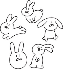 rabbit