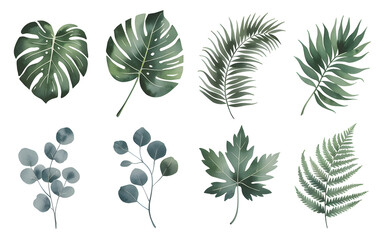 Fototapeta premium Tropical Leaves Watercolor Illustration of Green Foliage with Monstera Palm Eucalyptus and Fern on a White Background for Botanical Design