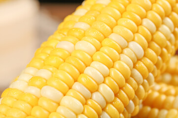 Fresh Sweet Corn Cob Close-up Macro Shot from Yunnan China - Golden Yellow Kernels Detail