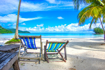 tropical beach with palm trees on the beach