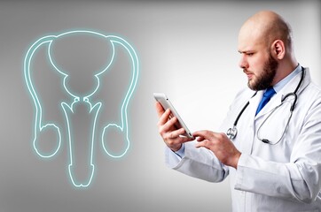Male reproductive system. Genital health care concept