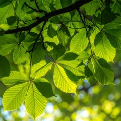 Fototapeta na wymiar Close-up of vibrant green leaves (3)