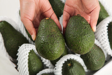 Fresh Avocados Held in Hands from Basket - Healthy Organic Fruit for Cooking