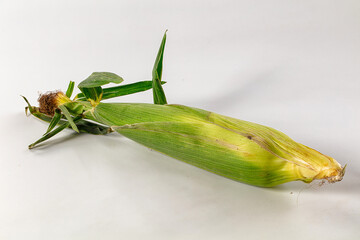 Ripe yellow sweet corn cob