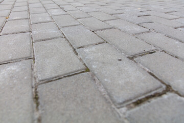 A gray brick sidewalk with a few cracks
