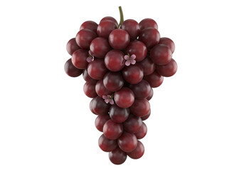 Fototapeta premium Illustration of a bunch of ripe red grapes with a small flower, isolated on transparent background on transparent background