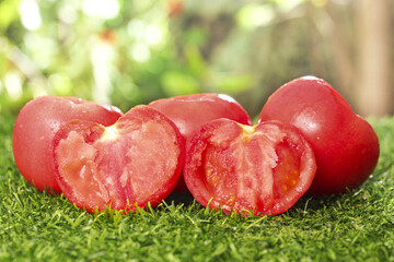 Fresh Xinjiang Sandfleshed Tomatoes Picked from Origin - Ripe Red Vegetables on Green Grass