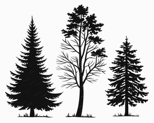 Pine tree silhouettes: vector evergreen trees illustration | editable svg