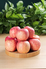 Fresh Red Striped Apples on Wooden Tray with Green Plants Background