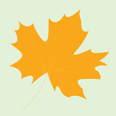 Realstic Leaif Vector Line Art Illustration