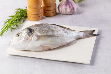 Raw fresh uncooked dorada fish