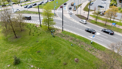 Aerial View of Tree Planting Near Road Intersection