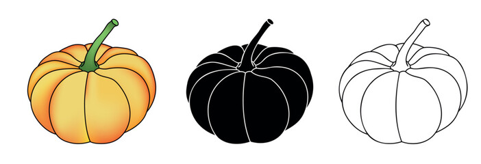 Pumpkin hand drawn ilustration for fall hollyday