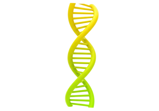 Isolated DNA double helix with gradated yellow to green color, science and medicine model