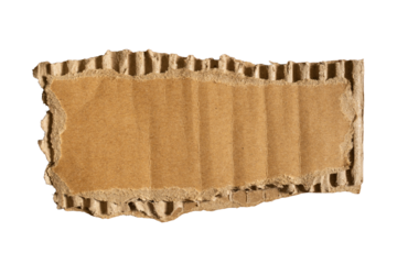 Torn cardboard box isolated on white background