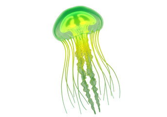 Isolated jellyfish with flowing green tentacles, ocean life and marine biology, aquatic animal