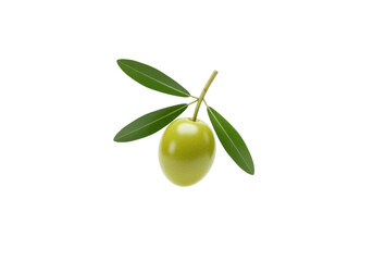 Isolated Olive on a Branch with Leaves on a Bright Surface for Culinary Purposes