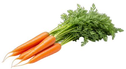 Vibrant Carrots Freshly Harvested and Ready to Enjoy A Bundle of Nutritious Goodness A Colorful Addition to Any Meal A Symbol of Health and Vitality