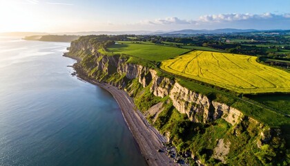 Dramatic coastal cliffs meet a golden field