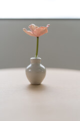 Artificial flowers in vase on white table