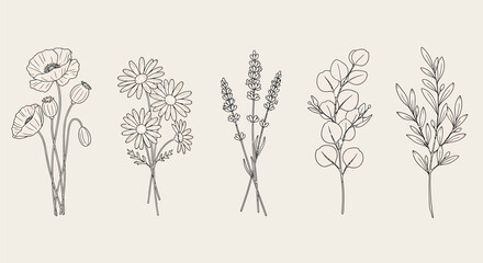 Collection of hand-drawn botanical illustrations featuring poppy, daisy, lavender, eucalyptus, and a leafy branch in a minimalist line art style. © Sultan Desain