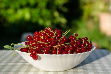 Plate with red currant outdoor