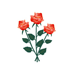 Hand drawn rose flower bouquet vector illustration
