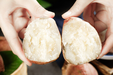 Fresh White Sweet Potato Cut in Half Held in Protective Hands Showing Creamy Interior Flesh