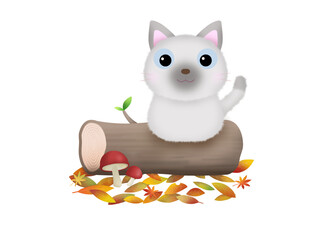 秋の風景とネコ　②