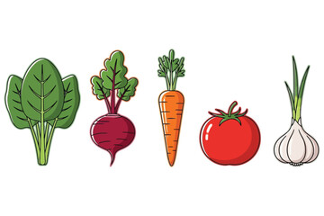 Vector art of a colorful assortment of fresh vegetables, , including spinach, beet, carrot, tomato, and garlic, perfect for healthy eating and culinary illustrations