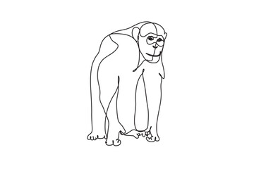 Vector illustration of a chimpanzee in detailed style, isolated on white background, perfect for wildlife themes, jungle animals, primates, educational materials, logos, and creative projects