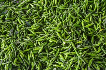 Fototapeta premium Fresh green chili peppers pile background, close up spicy vegetable texture
