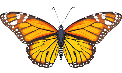 Fototapeta premium butterfly isolated on white