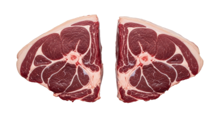 Two substantial raw cuts of venison, deep red muscle with sinew, on a seamless transparent background, soft diffused lighting, slight overhead shot, concept of elemental sustenance