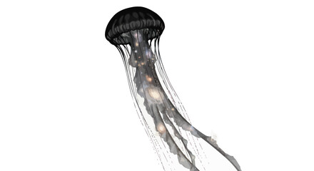 Abstract luminous jellyfish with celestial bodies inside it on a white background