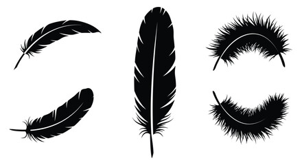 Obraz premium A collection of black and white feather illustrations differing in shape