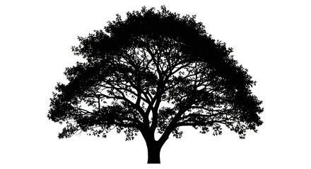 Silhouette of a majestic solitary tree, evoking nature's strength and beauty with a detailed