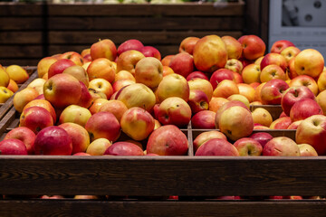Red apples on display at bright grocery store aisle. Closeup shot of fresh red and yellow apples