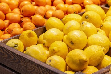 Colorful Display Of Lemons In Market. Macro Photo Of A Ripe Juicy Lemon Fruit. Texture yellow citrus fruit lemon. Many yellow sour lemons lie on the shelf.