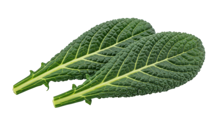 Vibrant Pair of Savoy Cabbage Leaves Displaying Intricate Veins on a Neutral Backdrop, Perfect for Health, Nutrition, and Culinary-Themed Projects