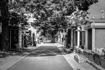 Cemetery, Melbourne, Victoria, Australia. September 19, 2025.