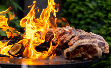 Chef grilling juicy pieces of meat over open flames on a barbecue grill.