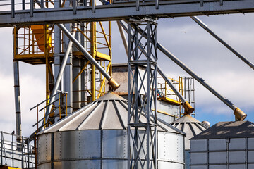 Grain Silos in Corn Field. Set of storage tanks cultivated agricultural crops processing plant.
