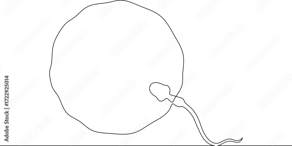 Poster continuous one line drawing sperm and female egg. conception. .line art.one continuous line isolated