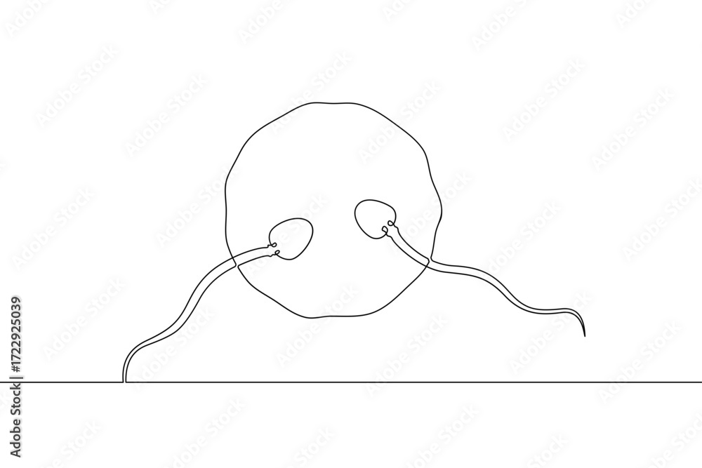 Poster continuous one line drawing sperm and female egg. conception. .line art.one continuous line isolated
