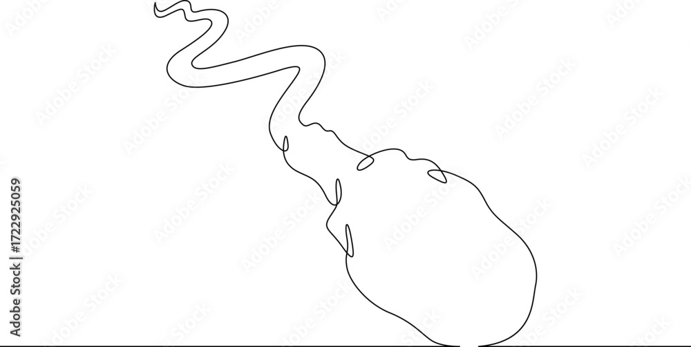Poster continuous one line drawing spermatozoon .line art.one continuous line isolated illustration.not ai.