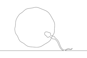 Continuous one line drawing Sperm and female egg. Conception. .Line art.One continuous line isolated illustration.Not AI.